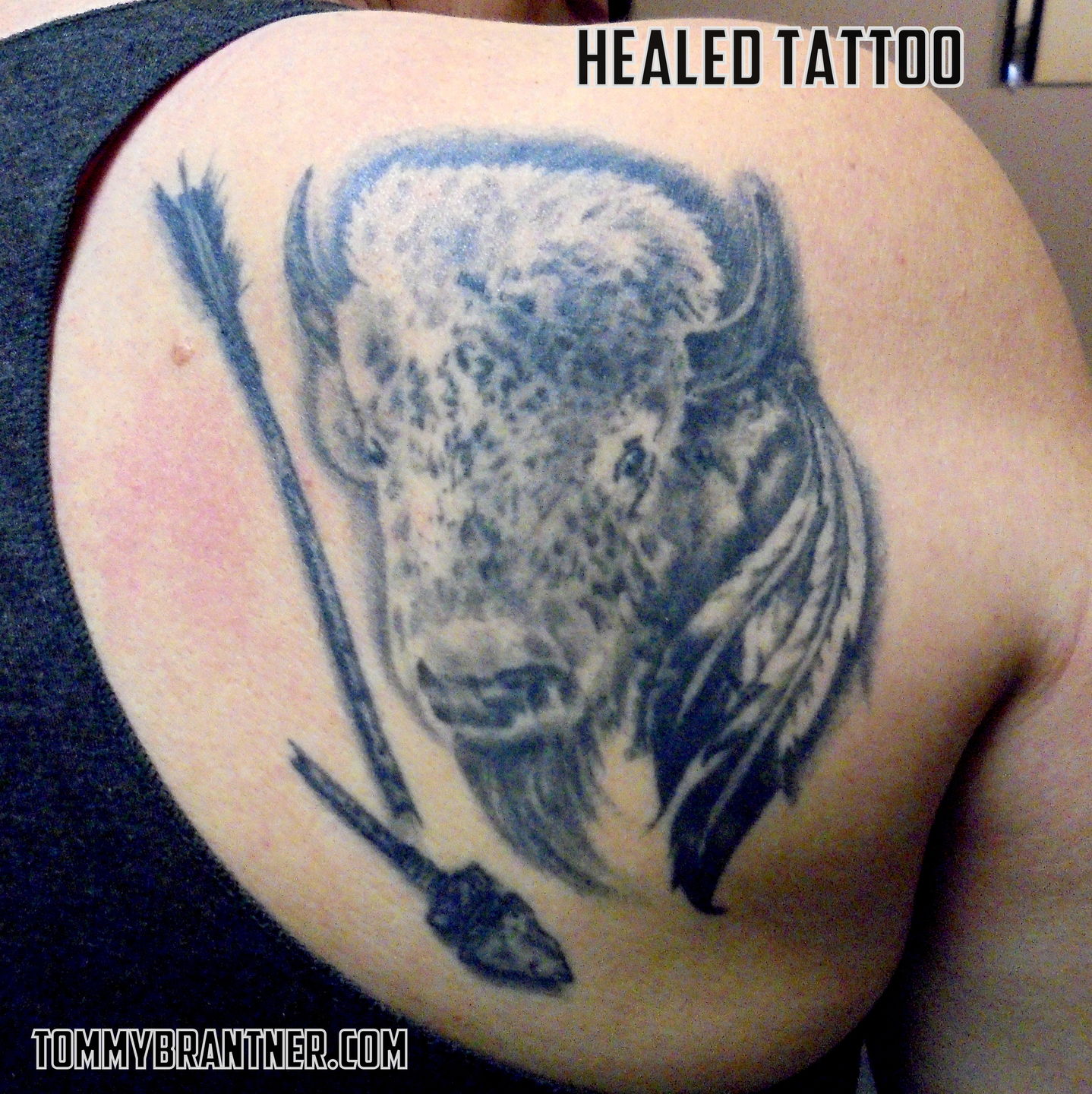 Healed_white_buffalo