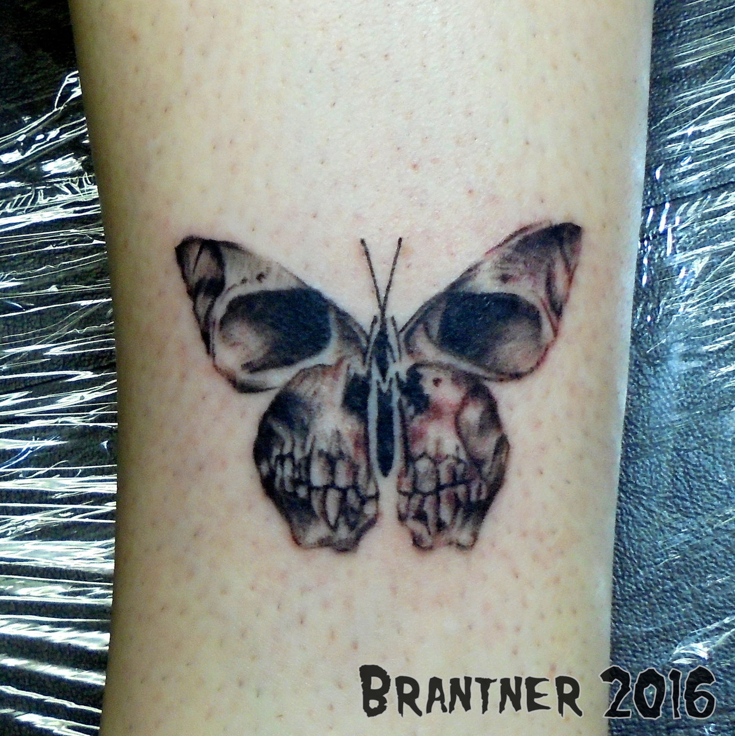 tommybrantner:skull-moth-skull-moth-butterfly-black-and-grey-wings-evil-dark