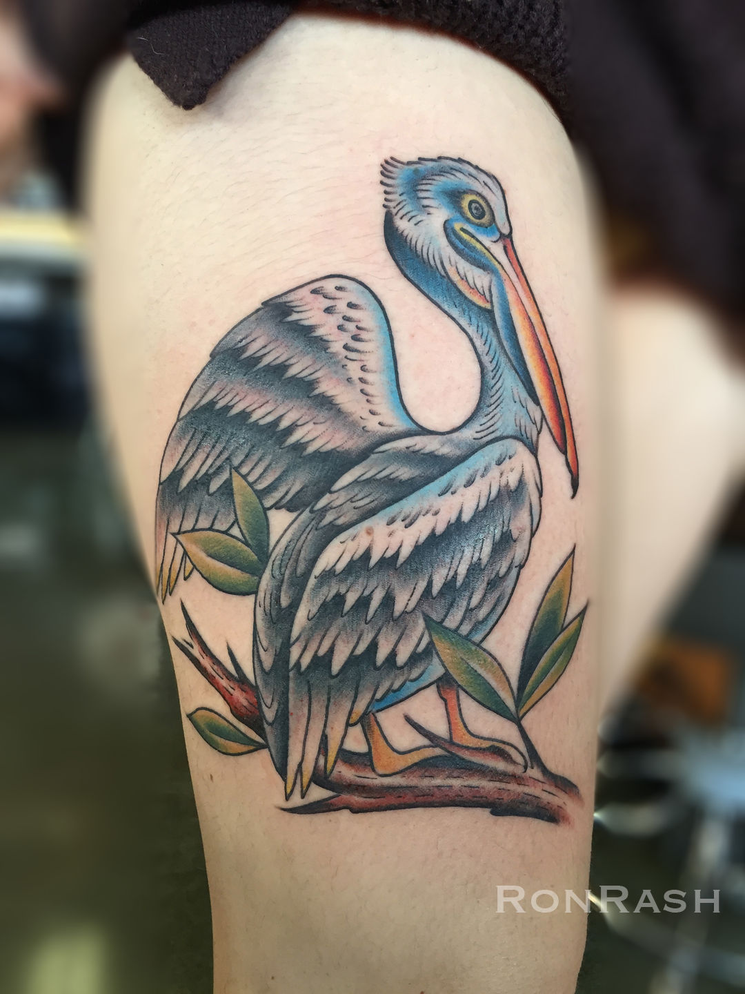91 Pelican tattoo Vector Images  Depositphotos