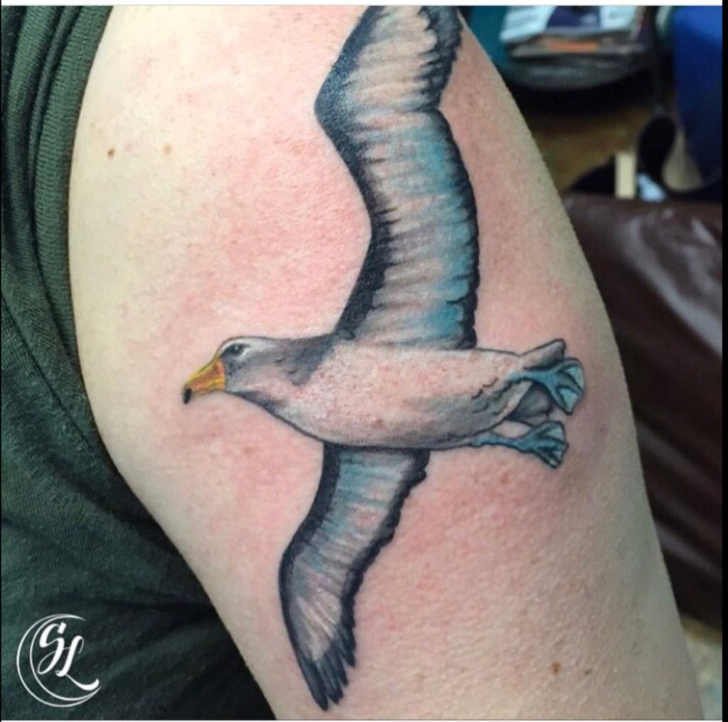 aucklandtattoo #nztattoo #seagull #tattoo | Instagram