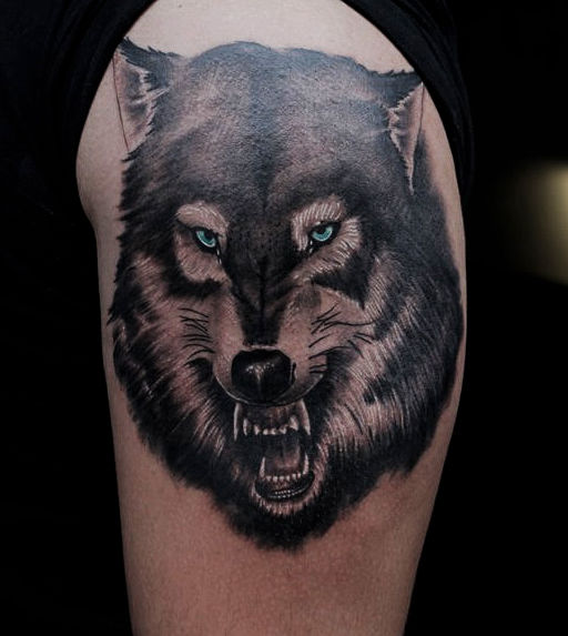 Wolf_copia