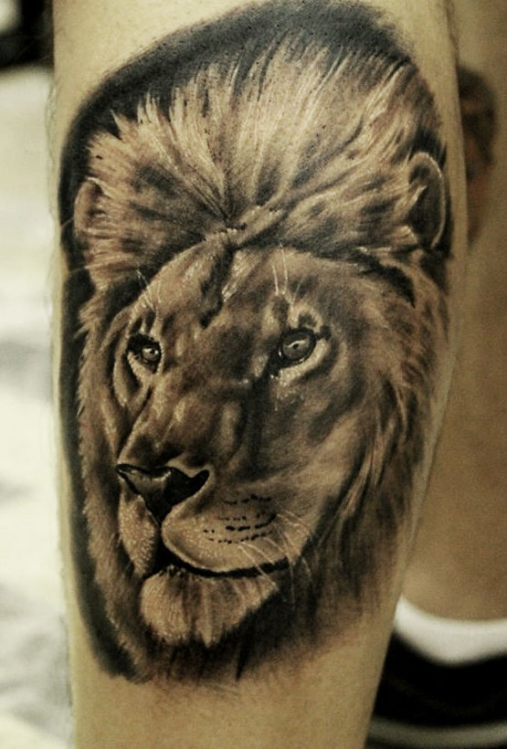 Lion