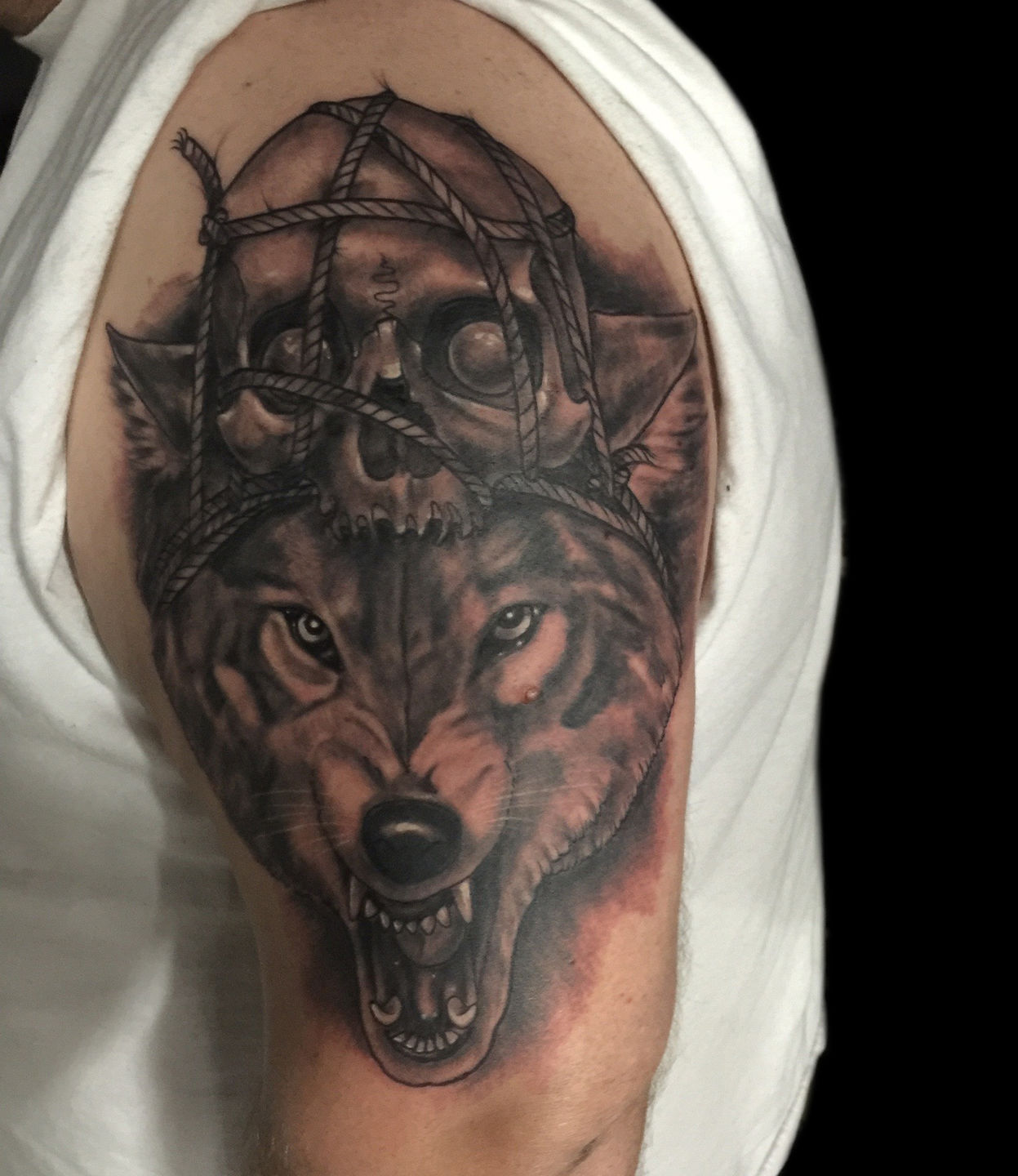 Wolf_with_skull