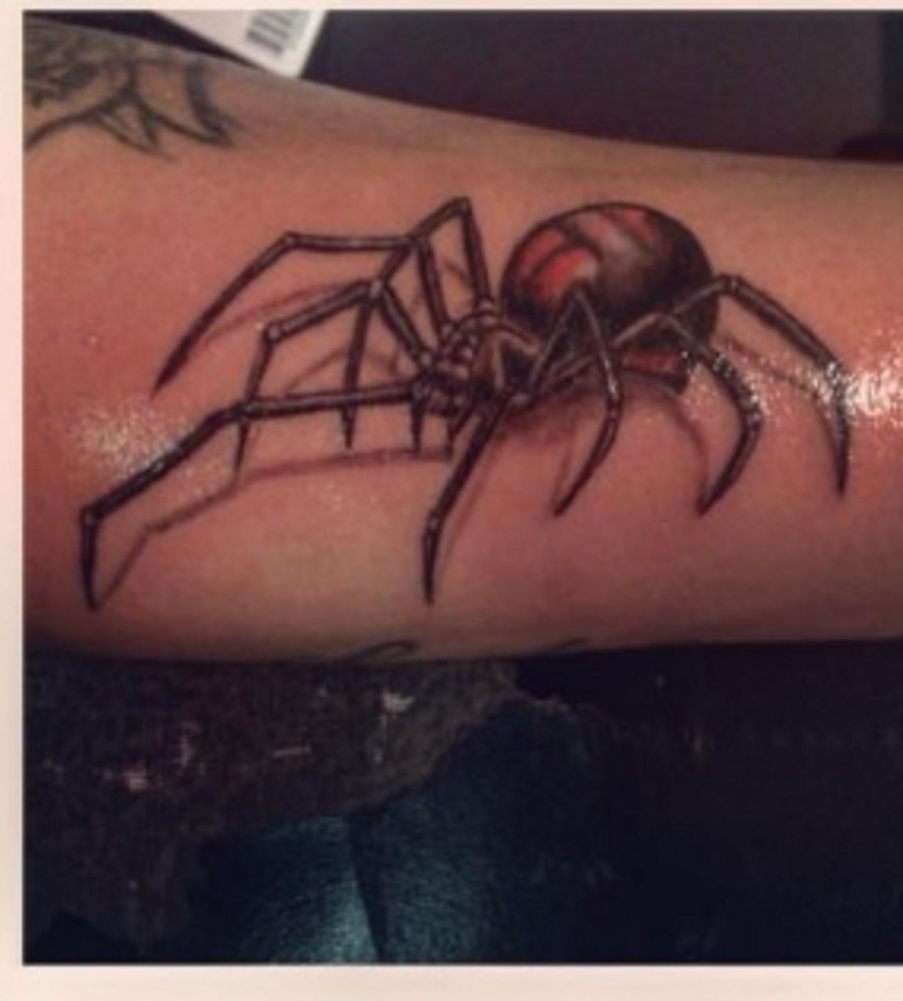 Traditional American Spider on Arm Tattoo  Joe Haasch Tattoo
