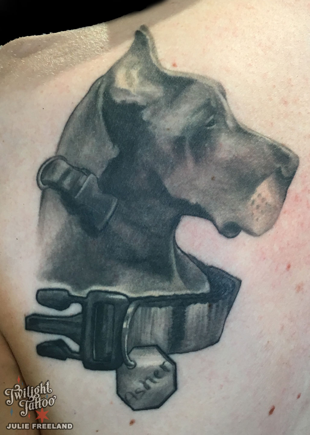 Tattoo uploaded by Xena • Memorial great dane portrait! • Tattoodo