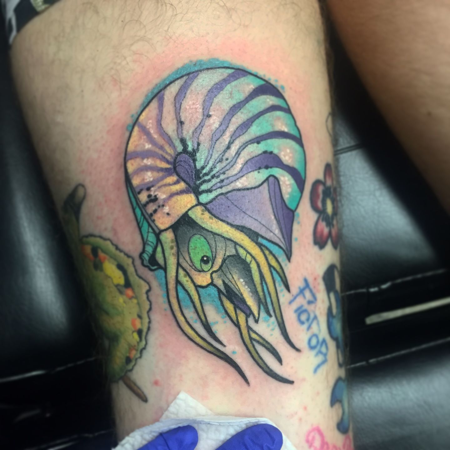 Update more than 151 nautilus tattoo latest