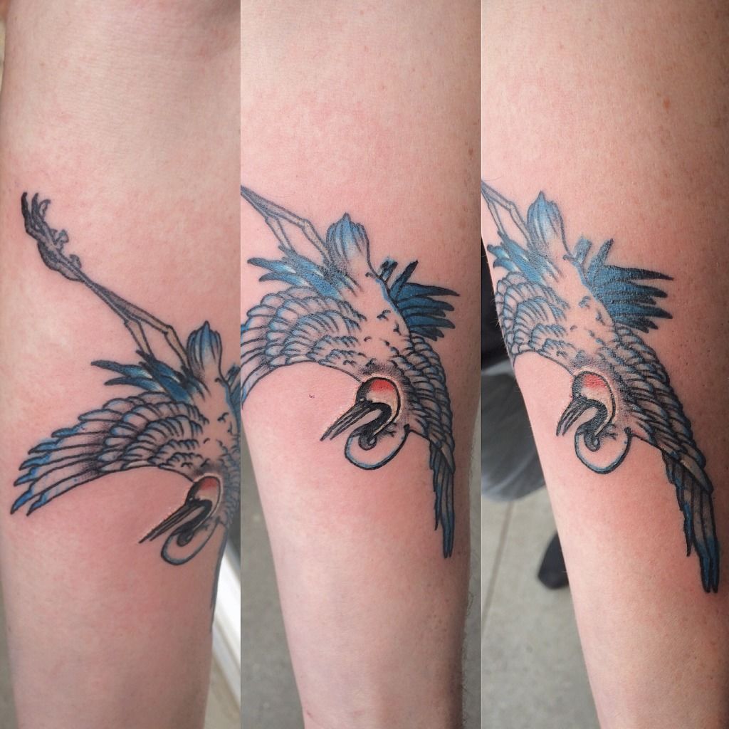 latest-heron-tattoos-find-heron-tattoos