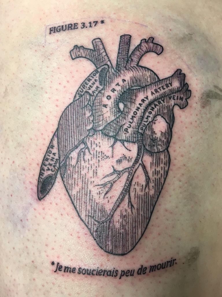 anatomical heart diagram tattoo