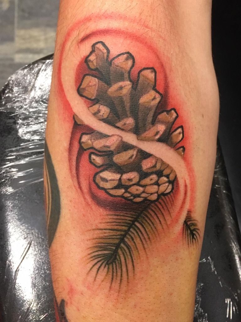 30 Pine Cone Tattoo Designs To Celebrate Beauty of Nature  TattooAdore   Tattoos Cool tattoos Pine tattoo