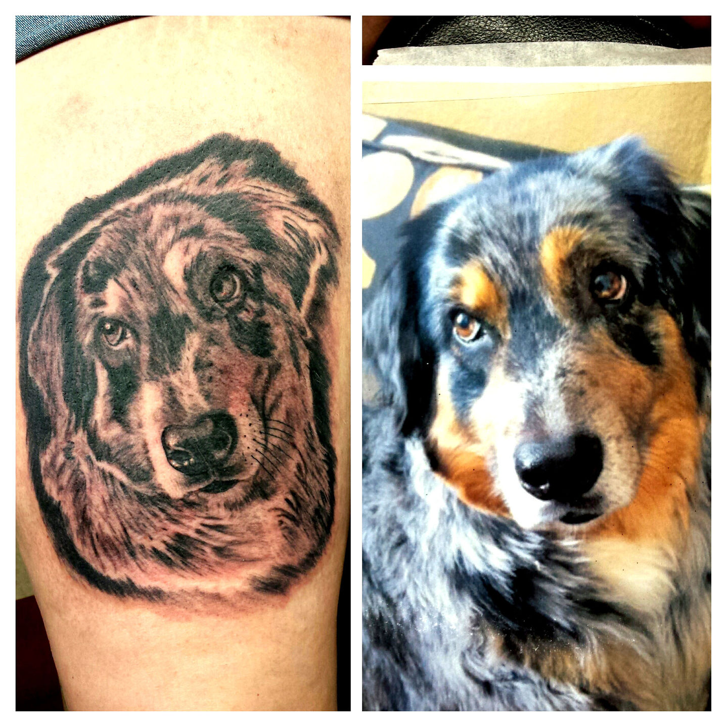 The Tattoo Valley - Another foot tattoo, animal love! 🐾👣 tattooed by  @lof_schaaf #paw #pawprint #petlove #pet #doglove #animallover #bellarose # dog #tattoo #tattooideas #tattoodesigns #tattooart #tat #capetown  #thevalley #tattooist #tattooartist ...