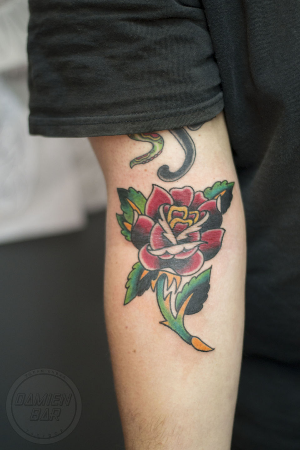 Jasoncline_rose_flash