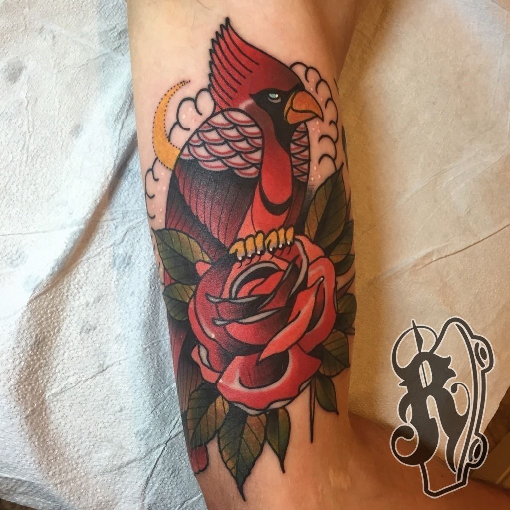 American Traditional Cardinal by Asa Castle of Black Rose Tattoo  Lexington KY  rtattoos
