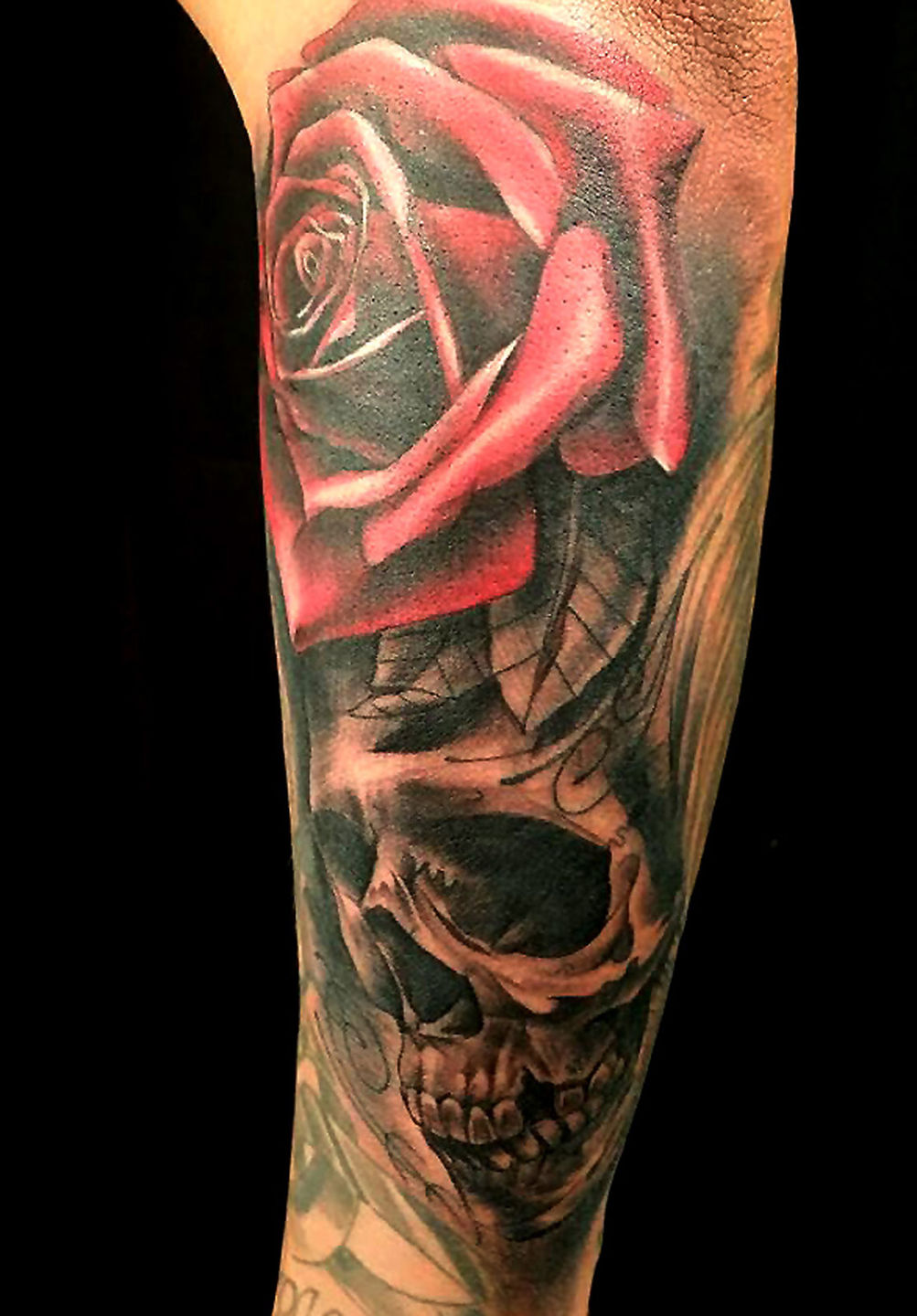Rose_and_skull