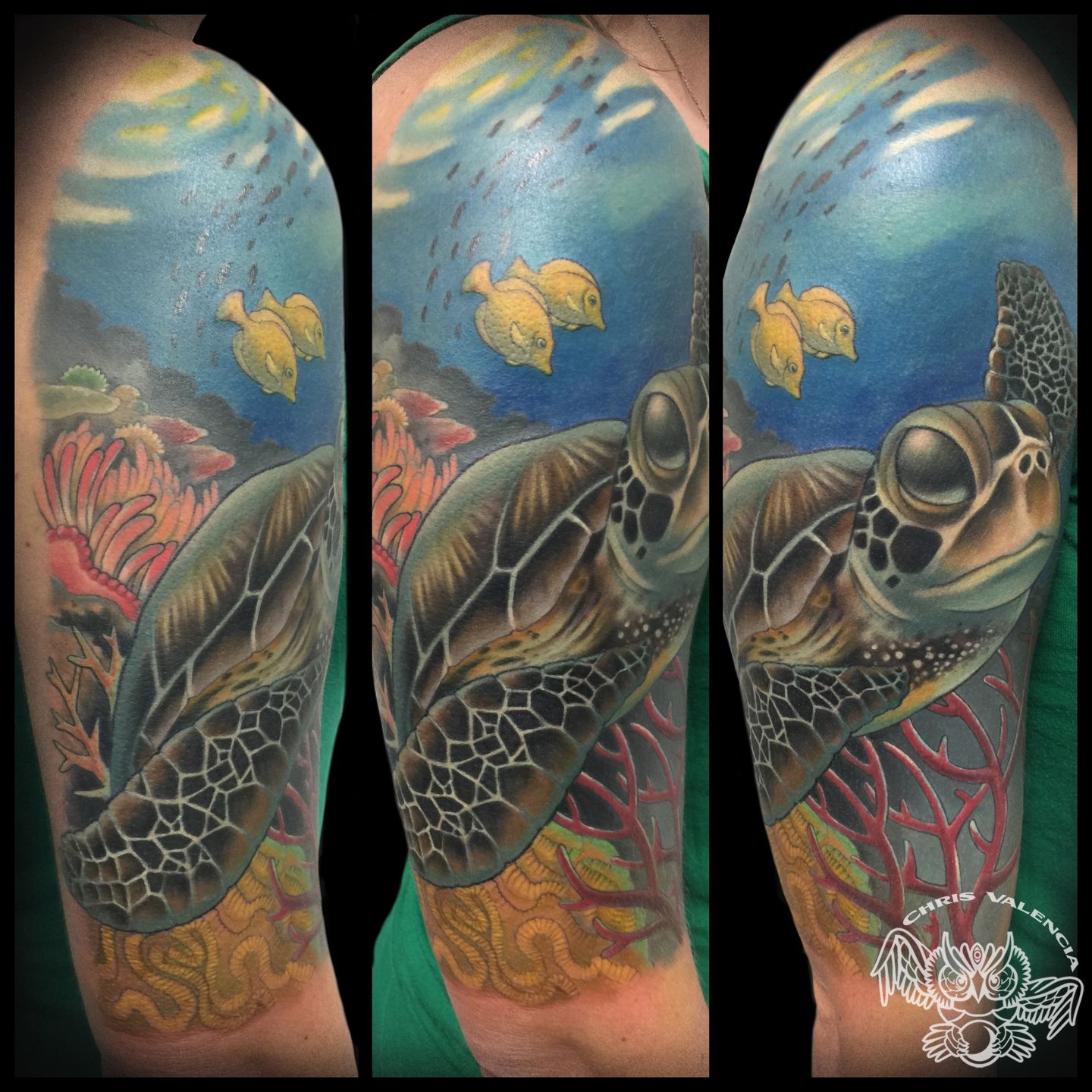 Latest Coral reef Tattoos