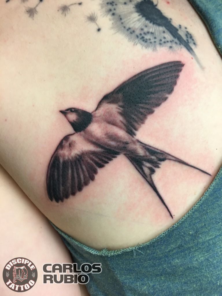 145 Pretty Swallow Tattoo Designs And Meanings