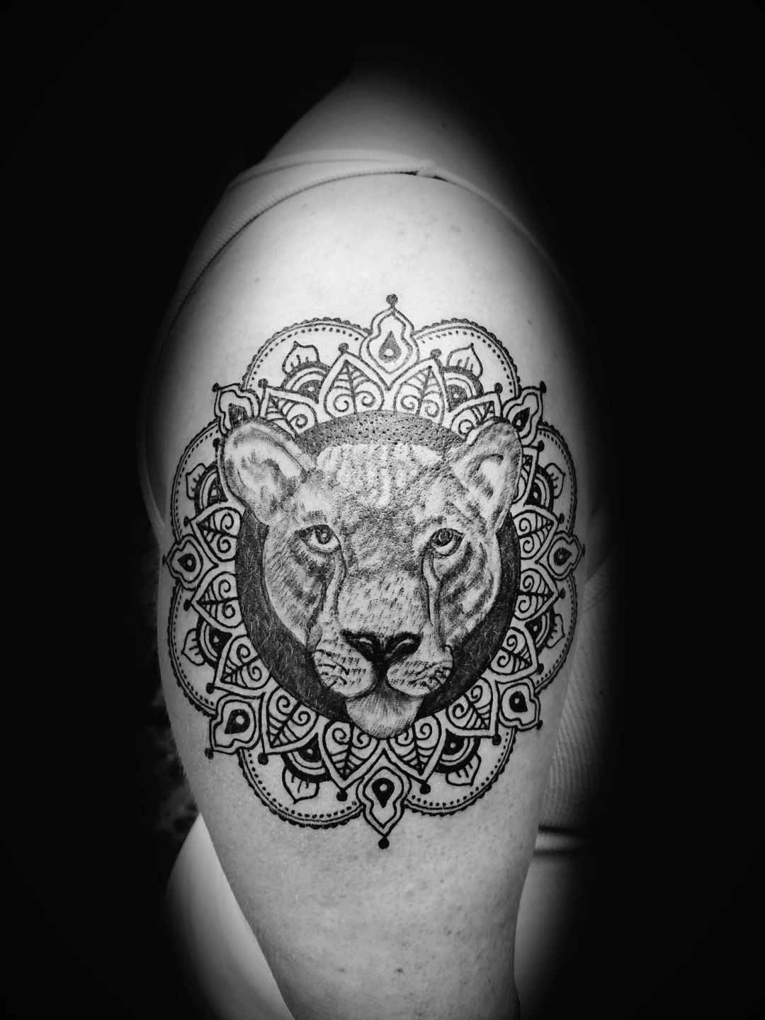 Latest Cougar Tattoos Find Cougar Tattoos