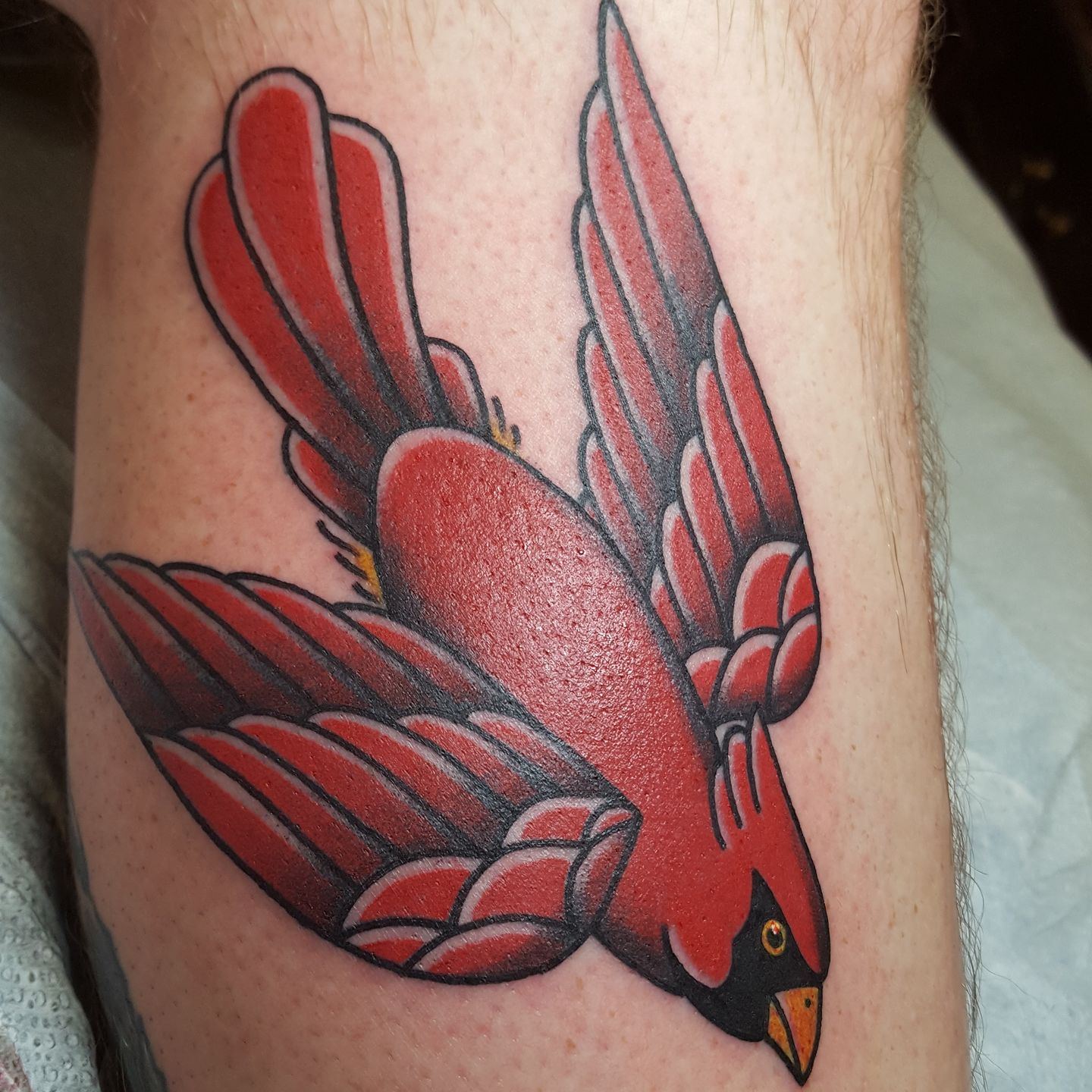 Traditional Cardinal by Tyler at Permanent Addictions in Sioux Falls SD   rtattoos