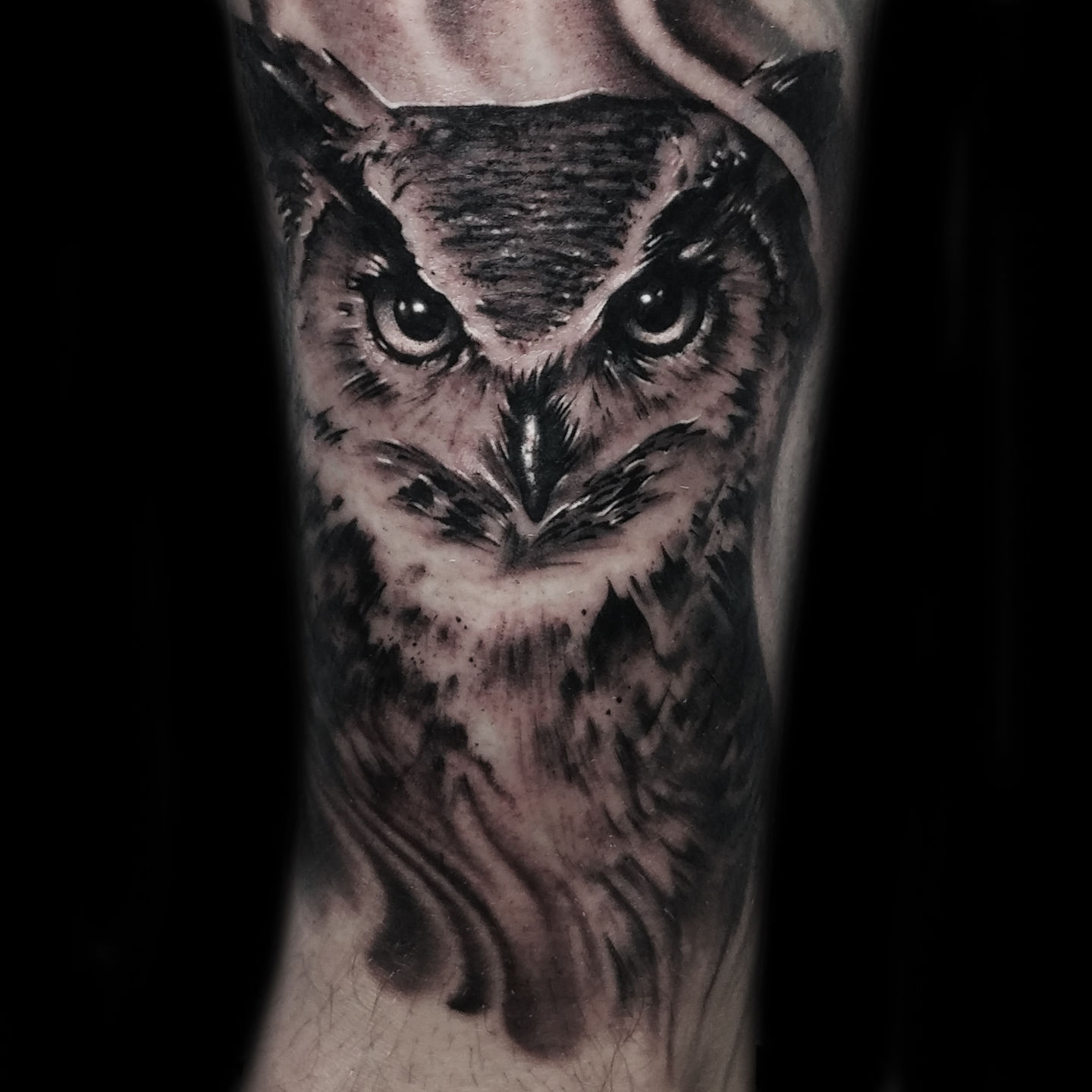 Ghost Ship Tattoo on Instagram Very nice owl tattoo by Steve Bradley  wildlife tattoo owl tattoo black  grey tattoo