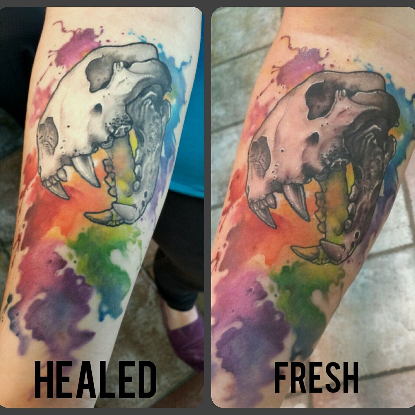 Fresh vs healed watercolor  Scarlets Web Tattoo Parlor  Facebook