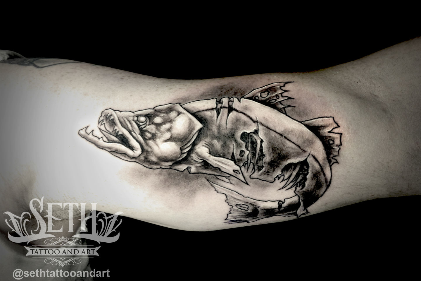 Zombie_snook_tattoo__fish_fish_tattoo_fisherman_outdoors_active_marine_animal_drum_ocean_tatted_tattooed_tattooartist__illustrative_newschool_new_school_cartoon_zombie_undead_dead_death_dark__seth_michael_seth_tattoo