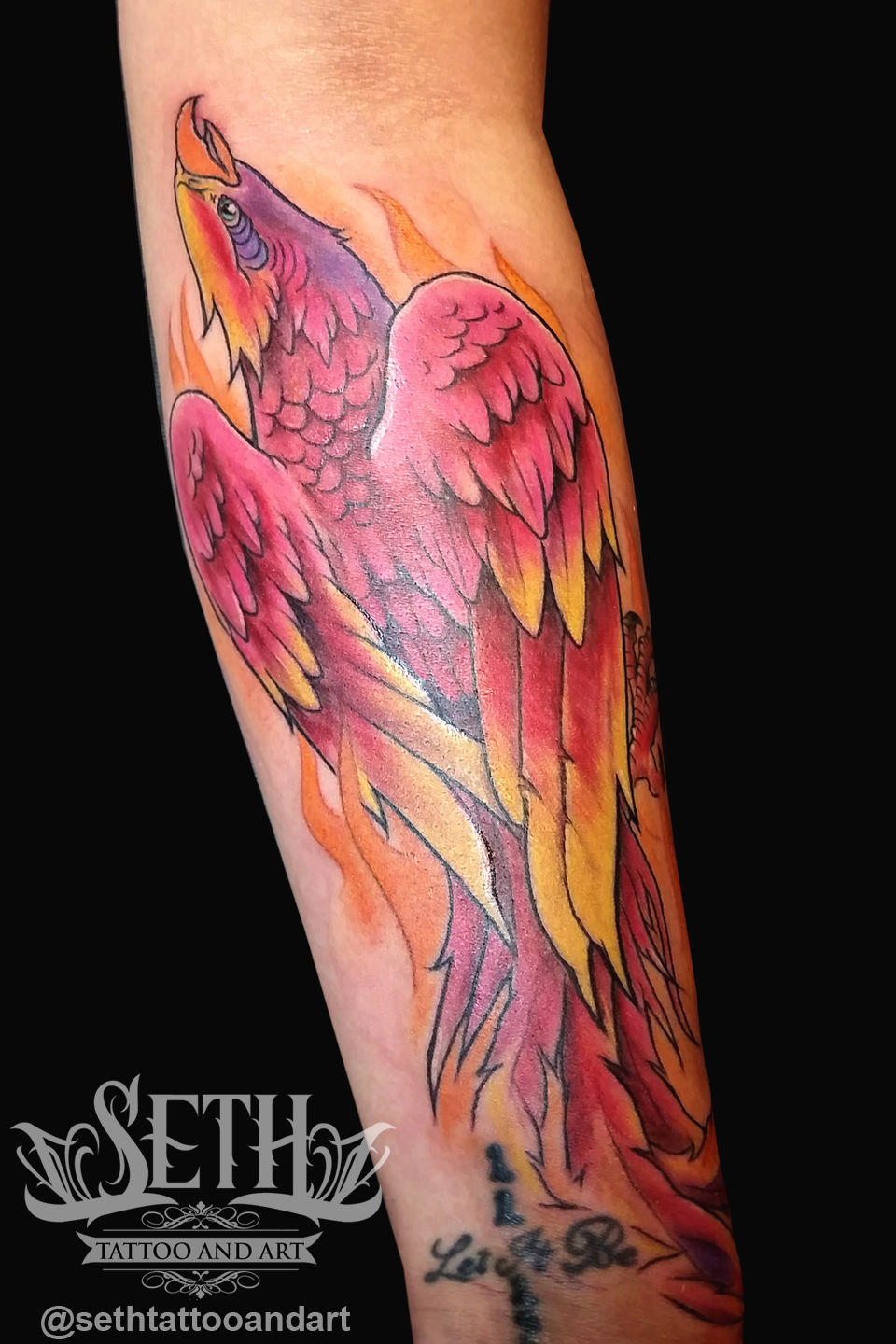 Phoenix_bird_tattoo__tattoos_inked_ink_tattoo_color_tattoo_vibrant_bright_feather_bird_mythical_fantasy_seth_michael_tattoo_and_art