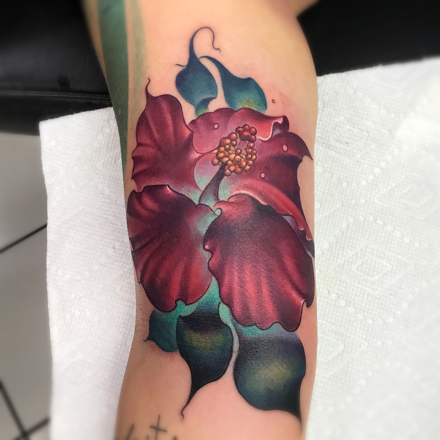 Hibiscus