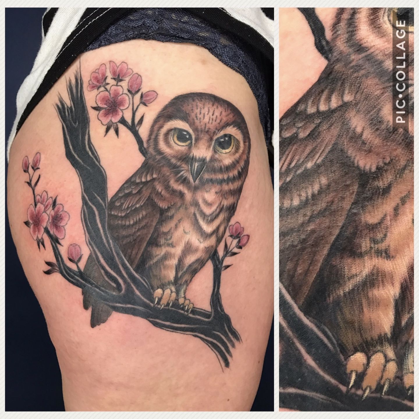 Artcastle Tattoo  Full Color  Owl tattoo in bright colors  Facebook