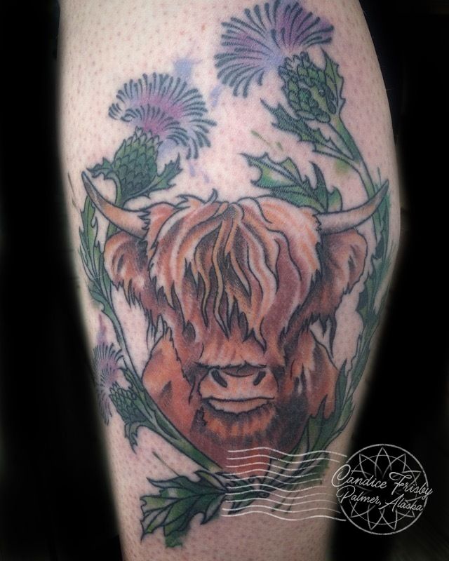 Highland Cow Tribute. Ross Daly @ Holy Cow Cork : r/tattoos
