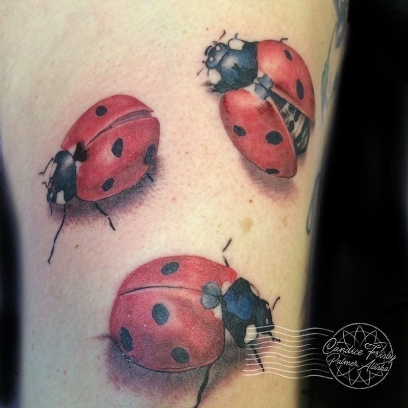 25 Lovely Ladybug Tattoo Ideas for Men & Women in 2024