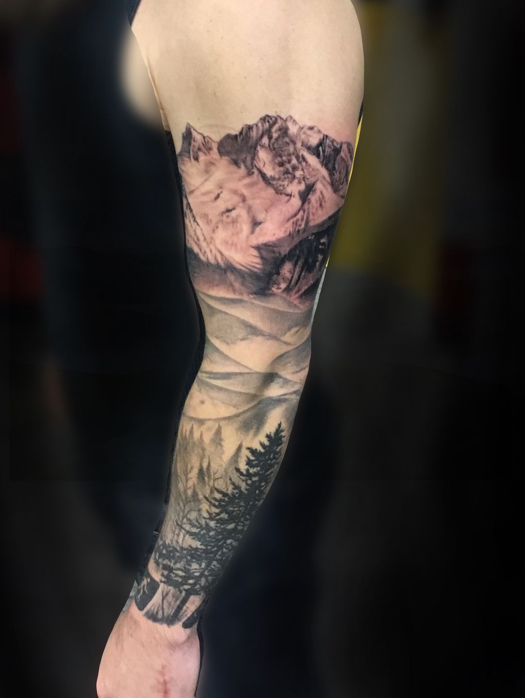 lono:black-and-grey-realism-landscape-sleeve-in-progress