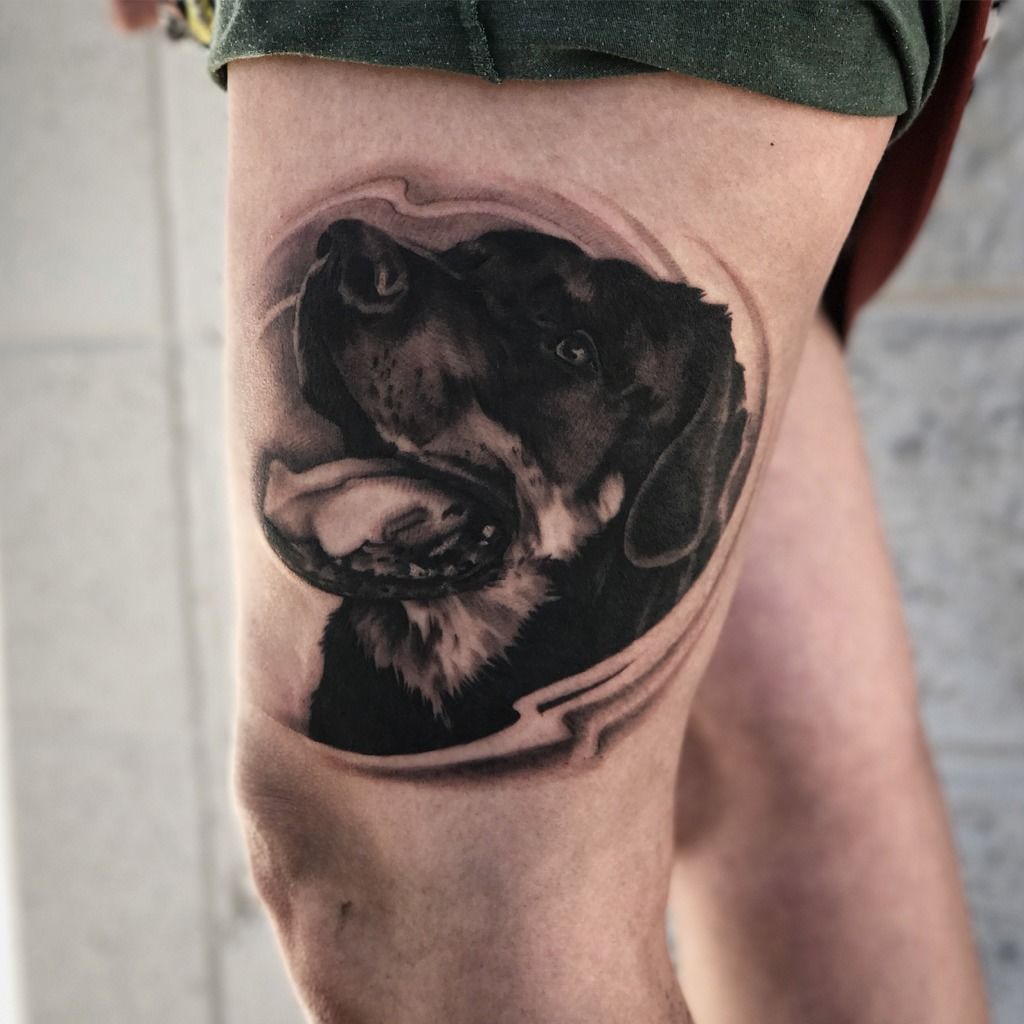 Dog portrait by me Olivia Hartranft Boston Street Tattoo Lynn MA  r tattoo
