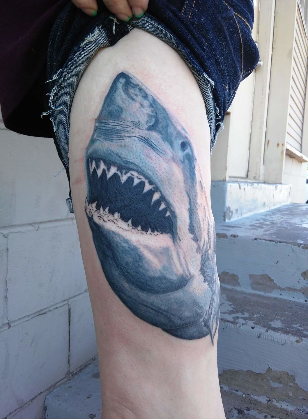 benjaminsmith:first-session-shark-tattoo-greatwhite-color-tattoos -color-realism