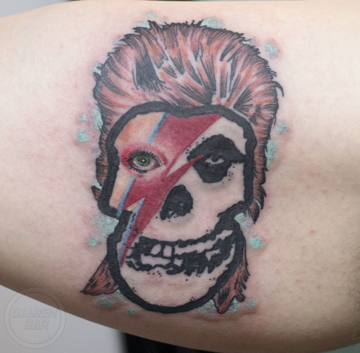 Davidbowieskull