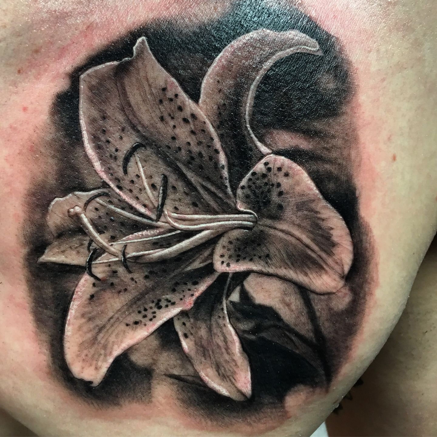Black and Grey Lily on Shoulder Tattoo Idea