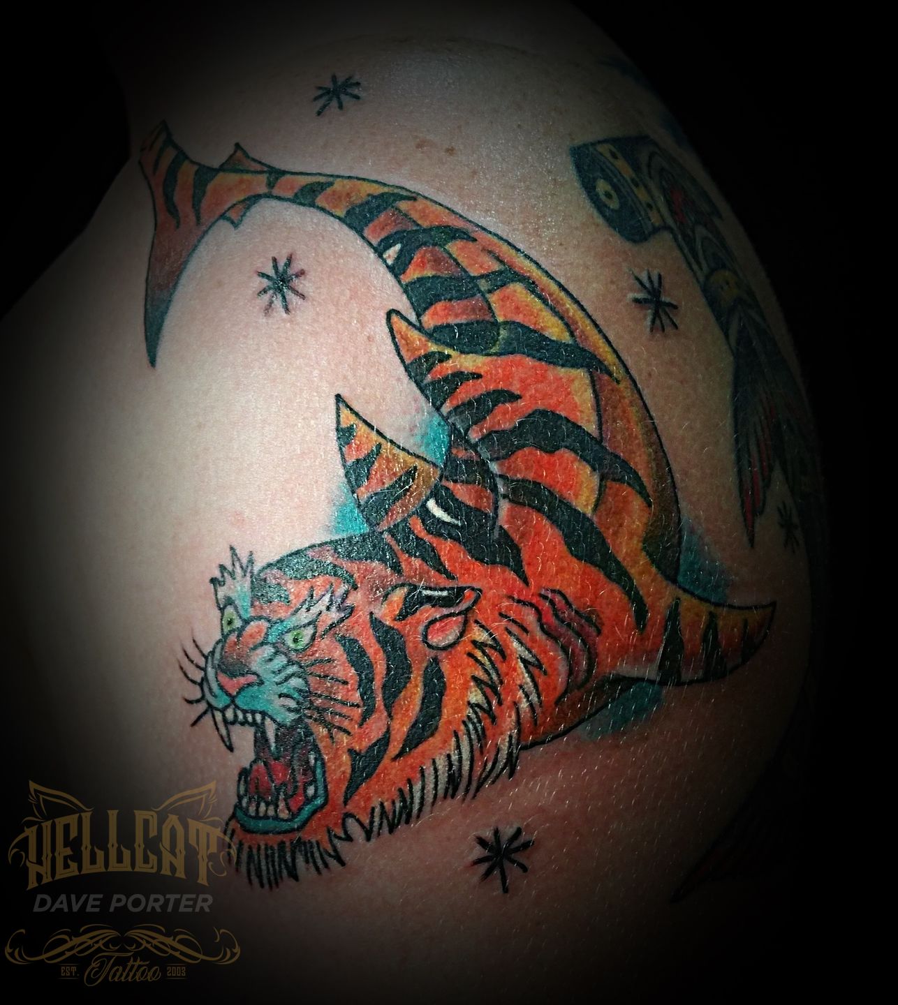 Tiger Shark Tattoo  Best Tattoo Ideas Gallery