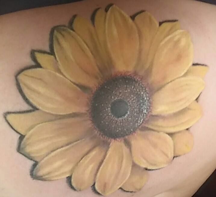 Realistic_sunflower_daddy_jack