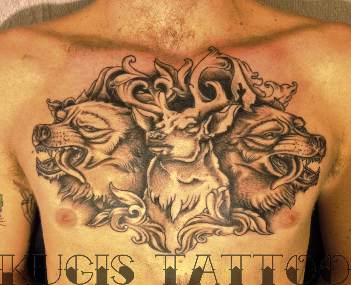 Tattoo uploaded by Katie  Want Wolf Deer Design  Tattoodo