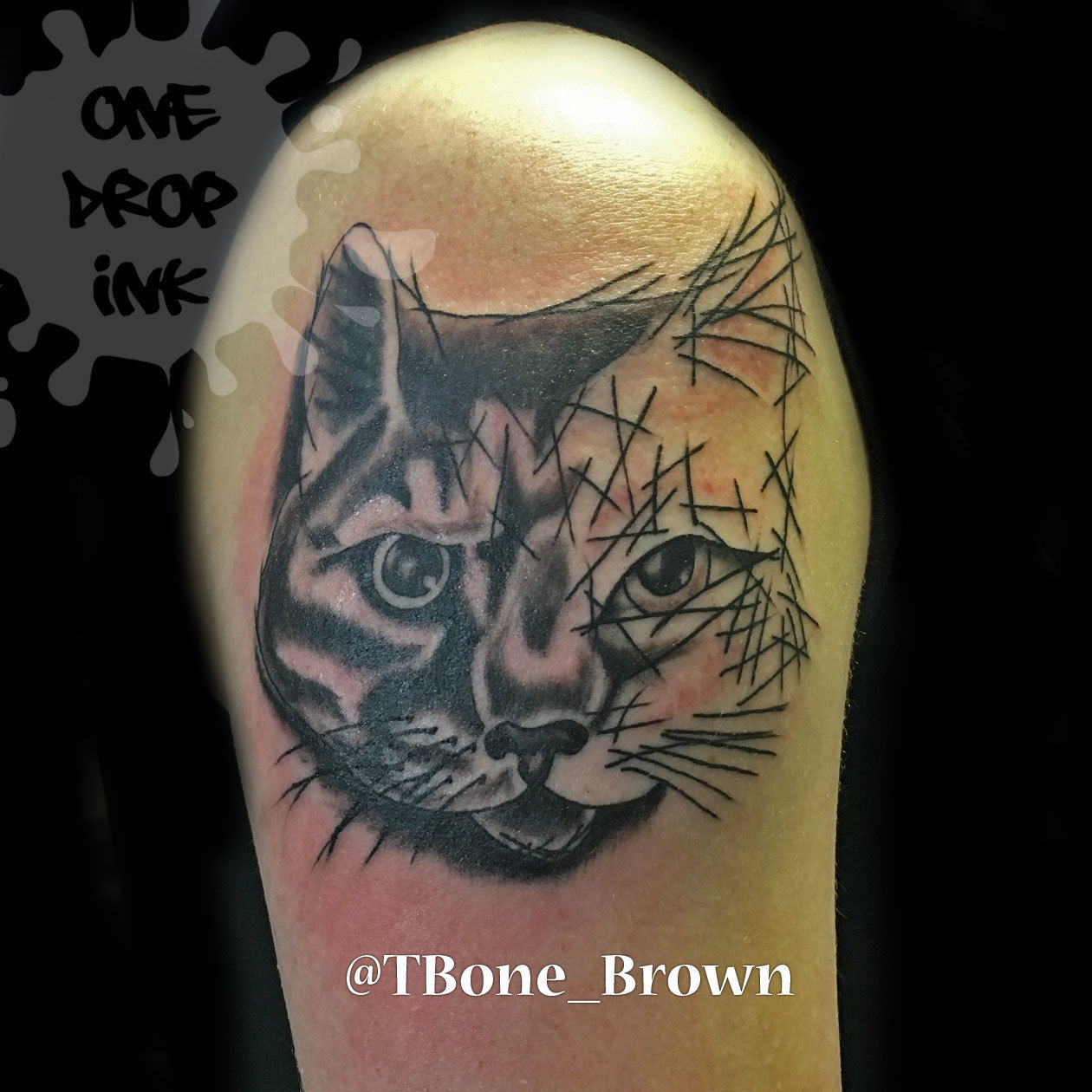 T-bone-catfadingscratchmarks-watermarked