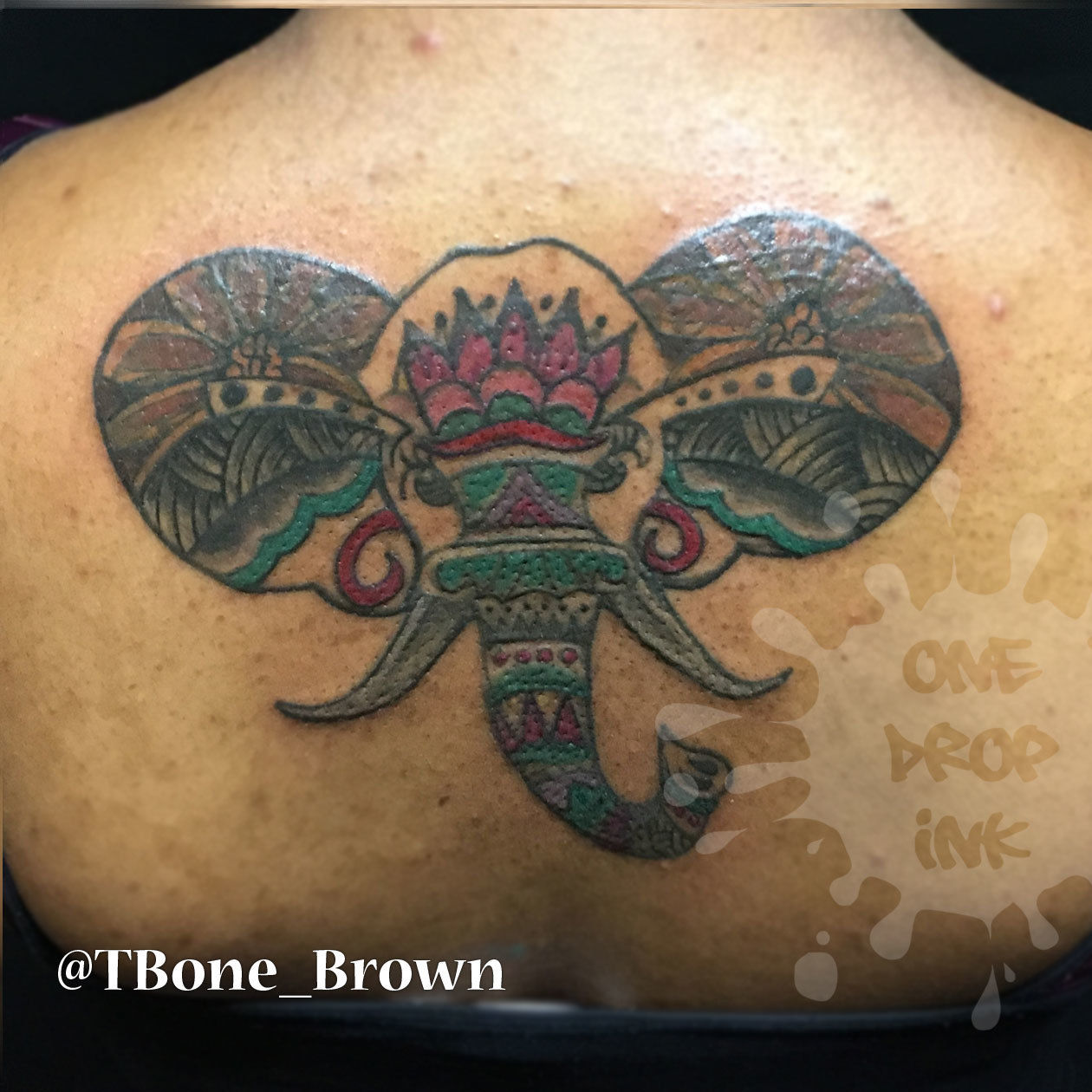 T-bone---hindi-elephant---watermarked