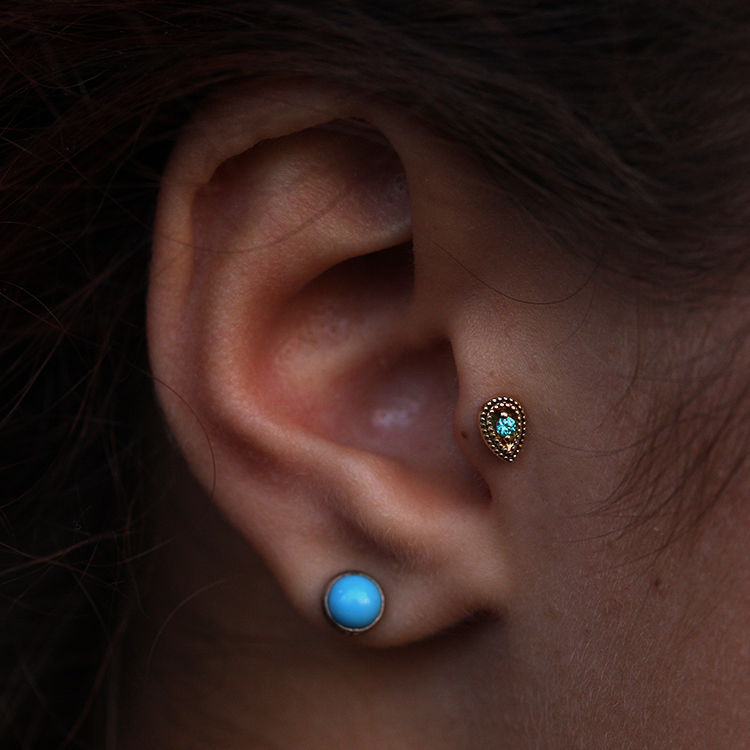 Tragus1