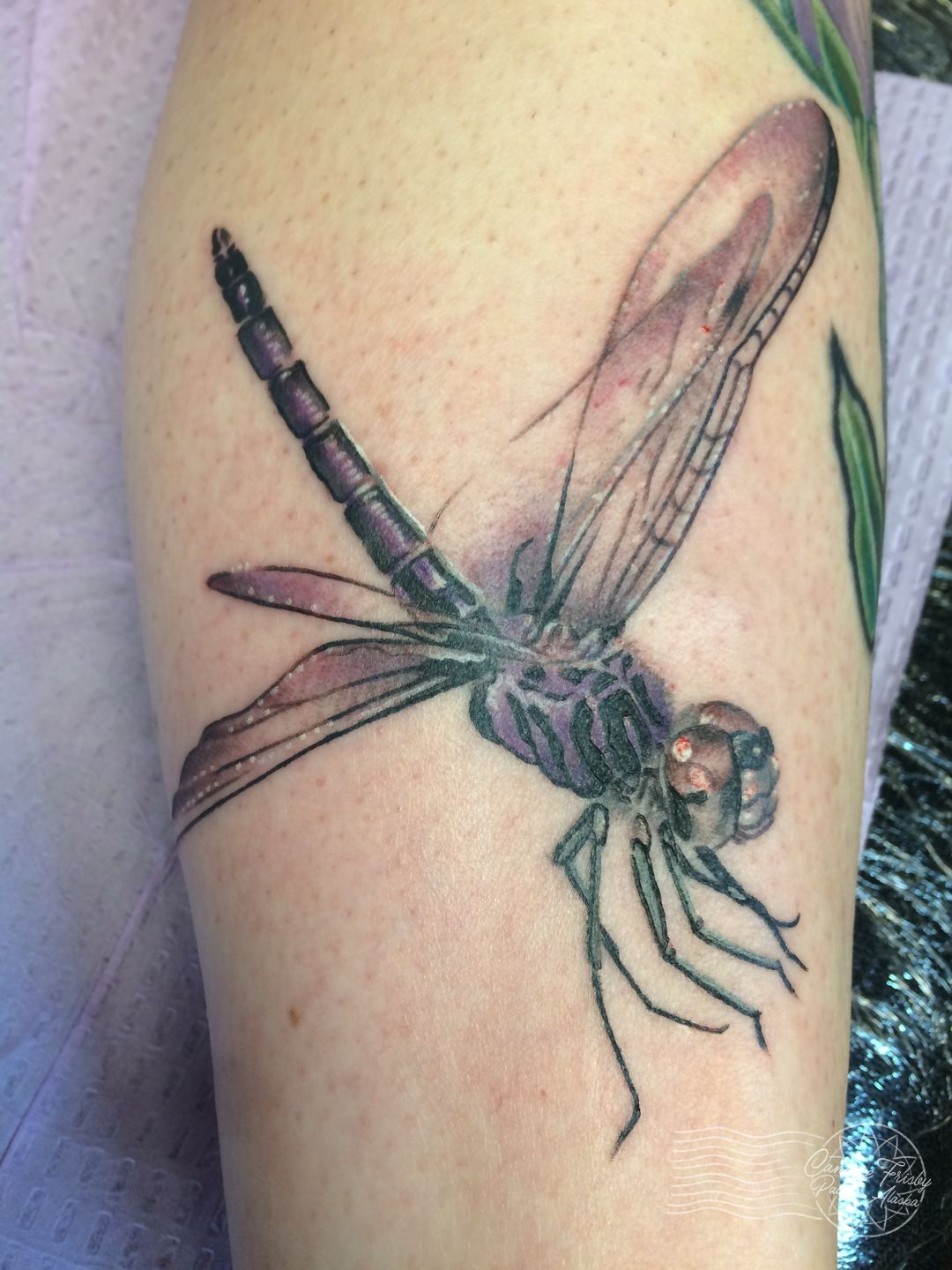 Beautiful insect tattoo can spread its wings - Boing Boing