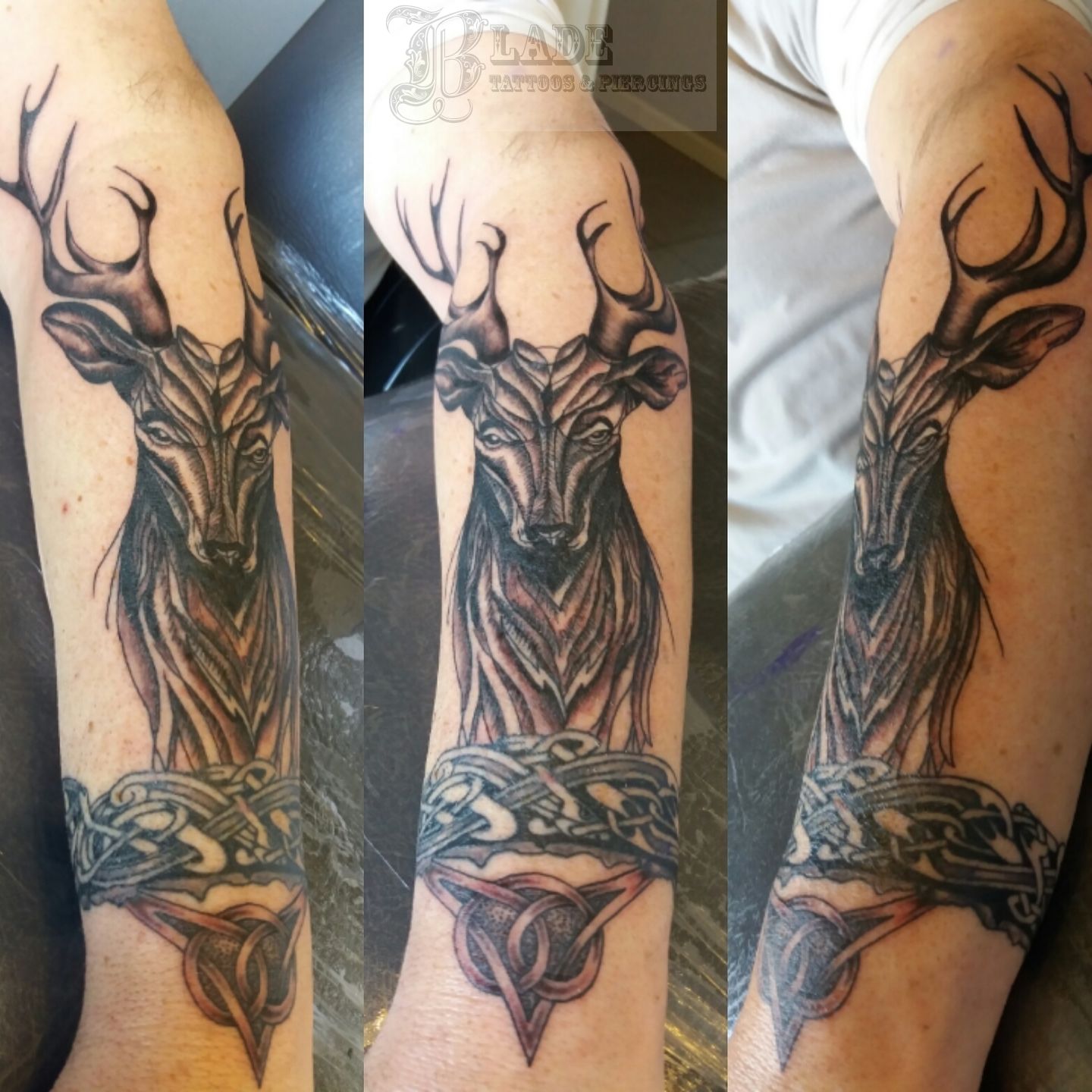 celtic stag tattoo