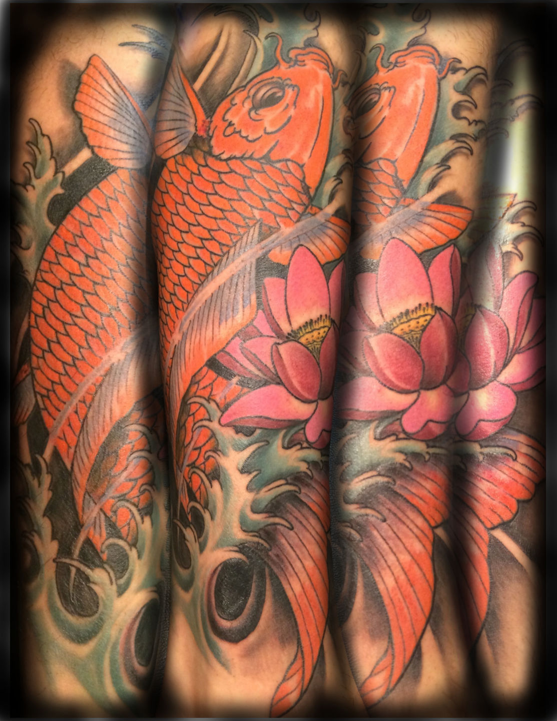 Koi