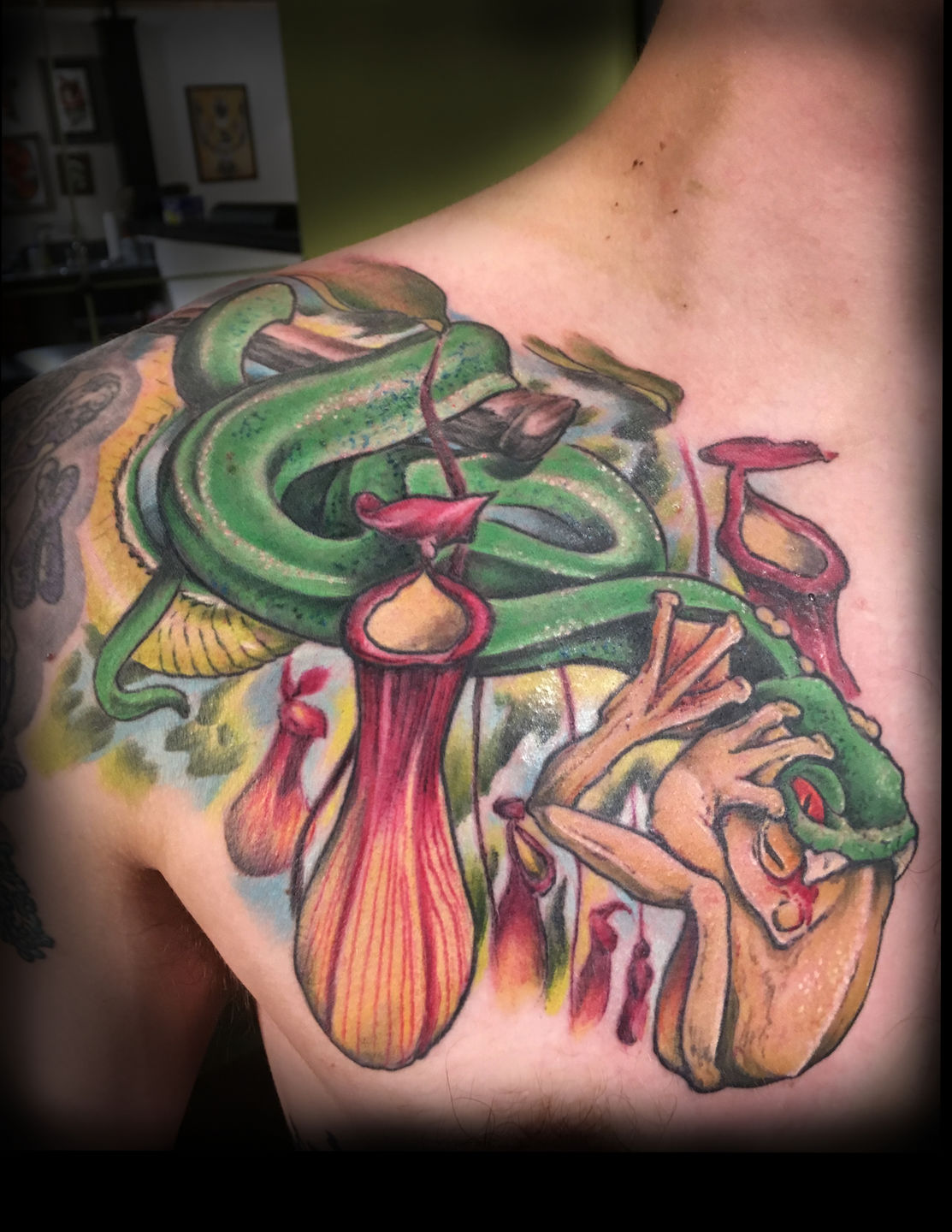spiny bush viper tattooTikTok Search