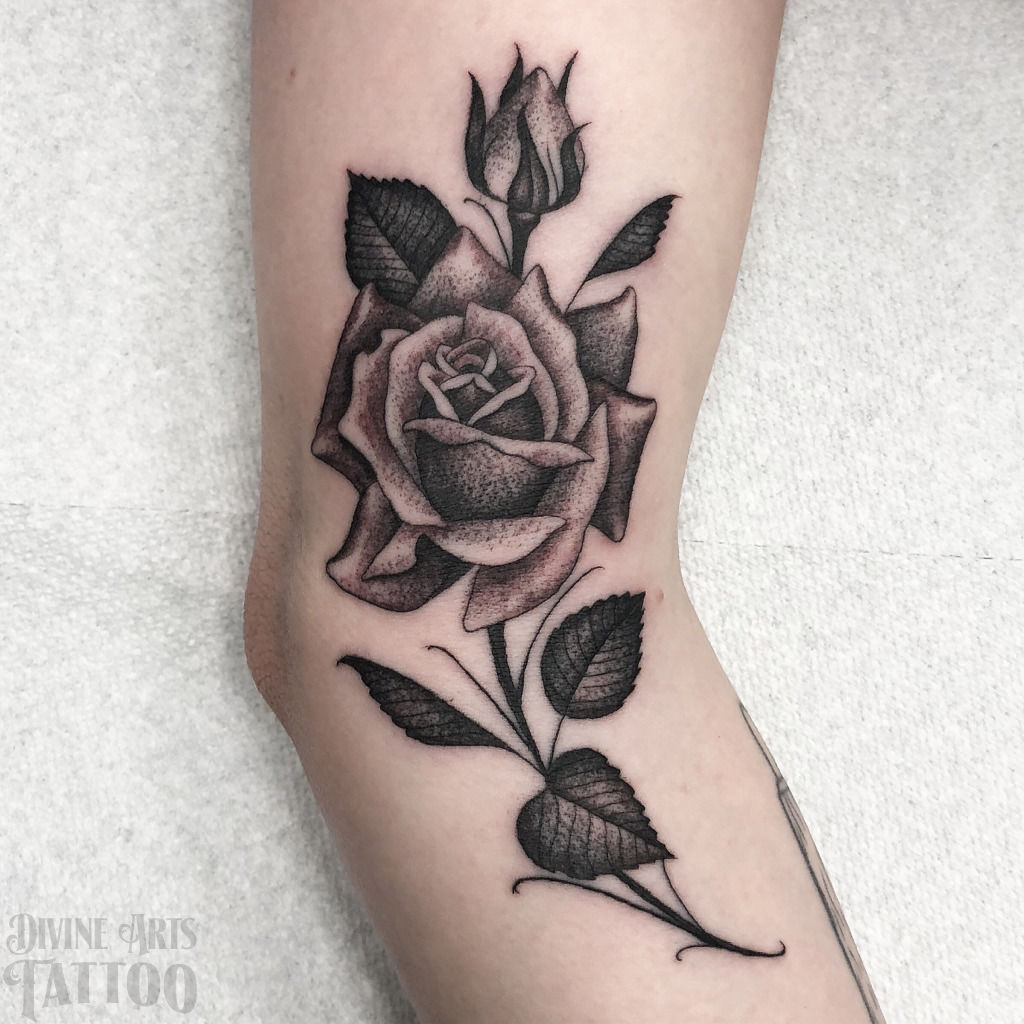 Tiny rose from a few days ago  Studio XIII Gallery