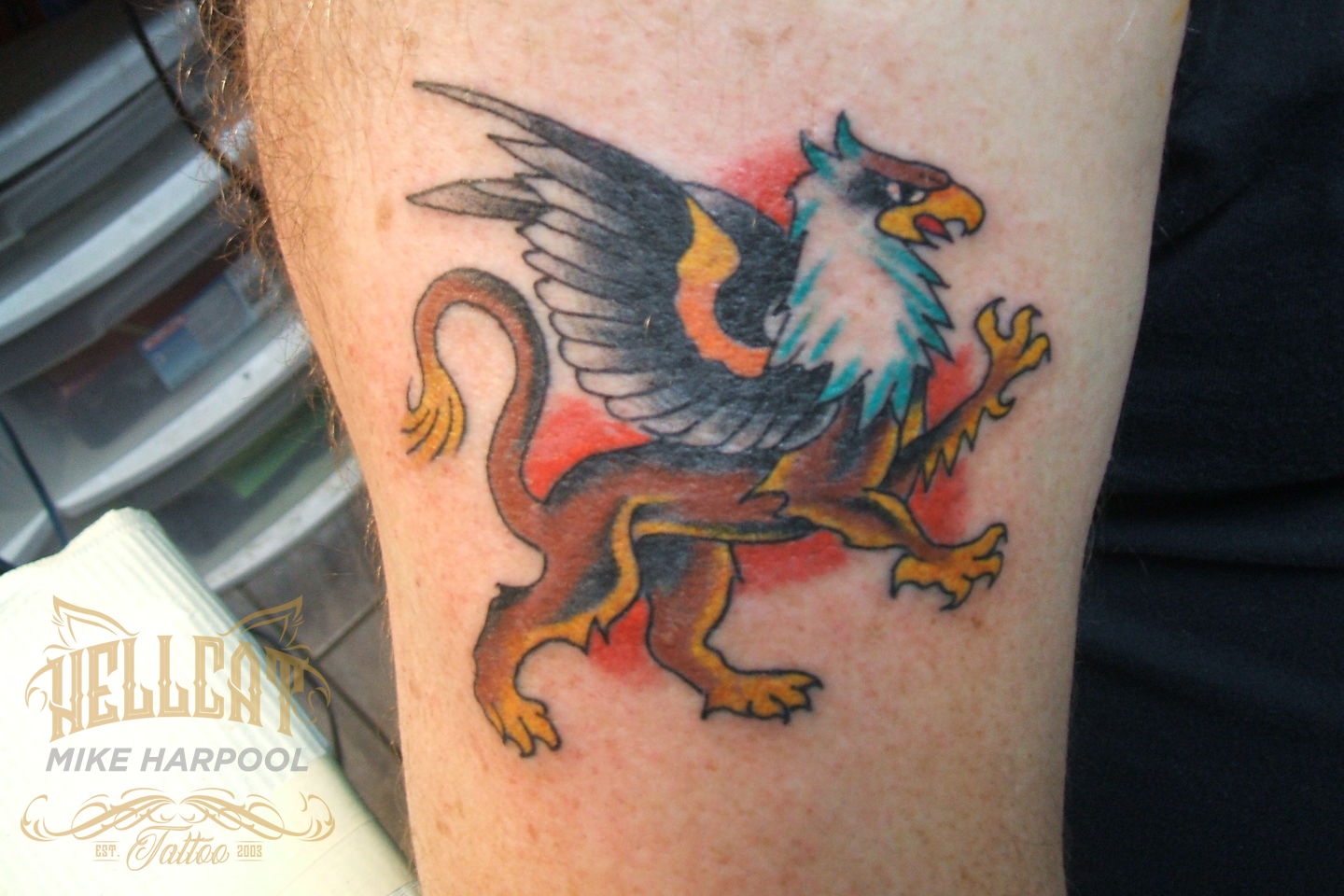 Black Ink Flying Griffin Tattoo Design
