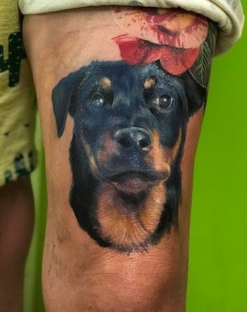 15 Fascinating Rottweiler Tattoo Designs For The Bold Owners  The Paws