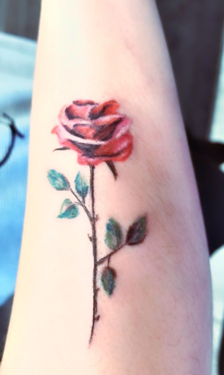 Watercolor pink rose tattoo on the inner forearm.