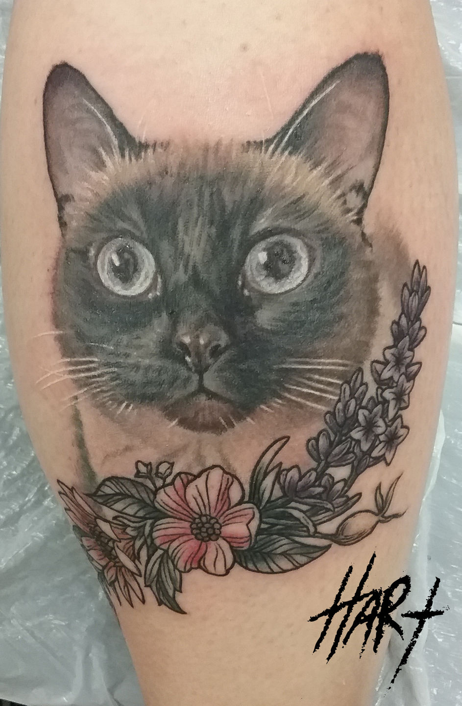 Cat playing with a flower wreath tattoo on the right