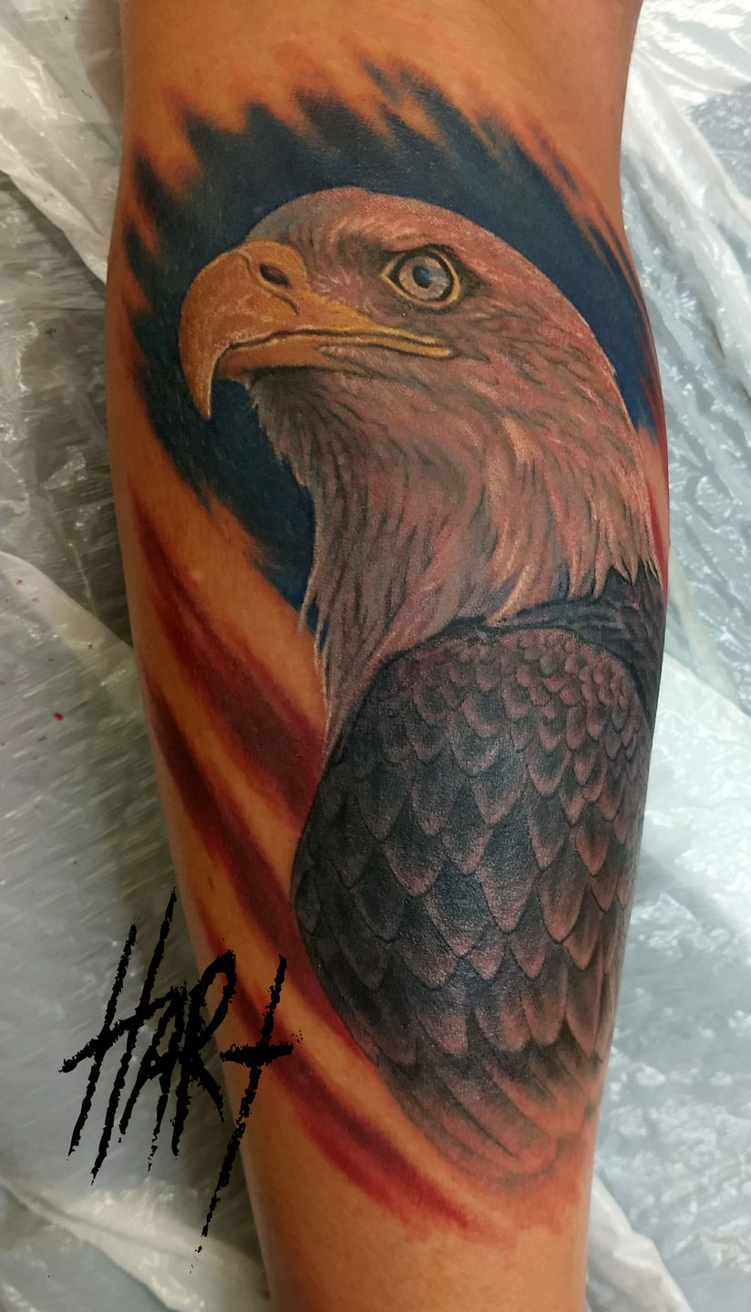 50 Traditional Eagle Tattoos For Men 2023 Bald Rising Traditional Flag